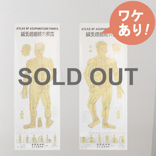 【訳あり】2枚セット経穴図