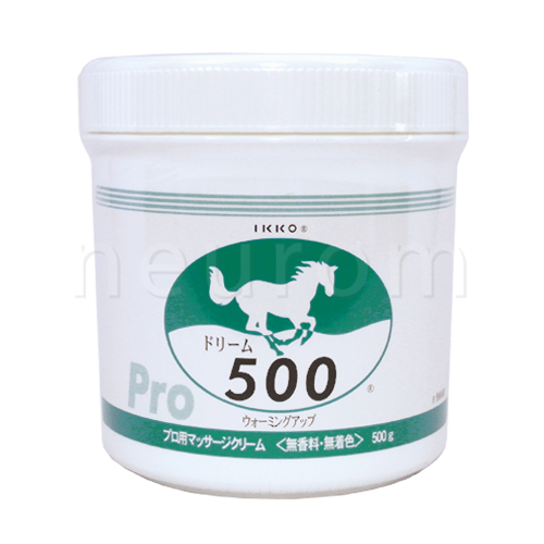 ドリーム500