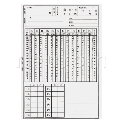良導絡カルテ(B5)
